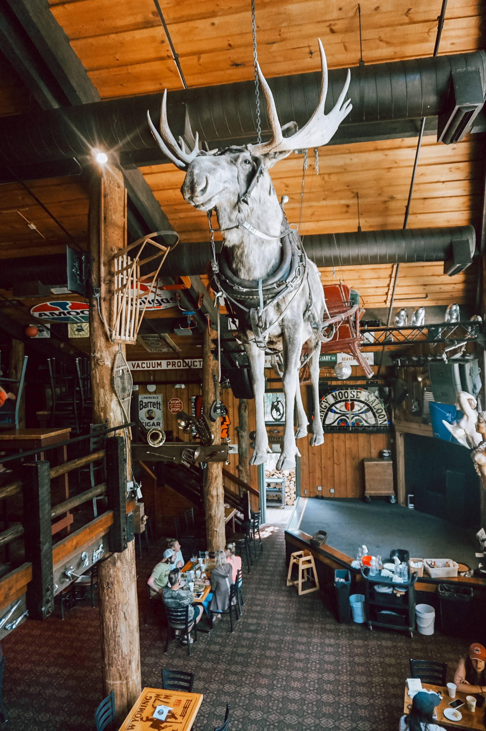 Mangy Moose Mangy Moose