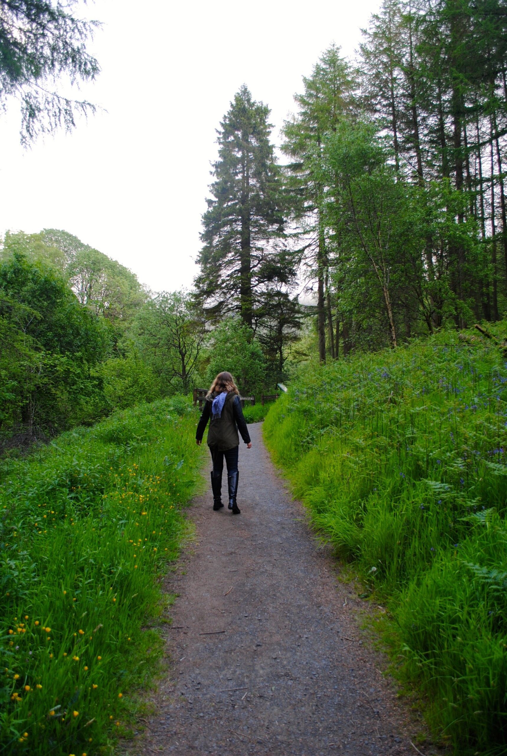 Causeway Coastal Route road trip