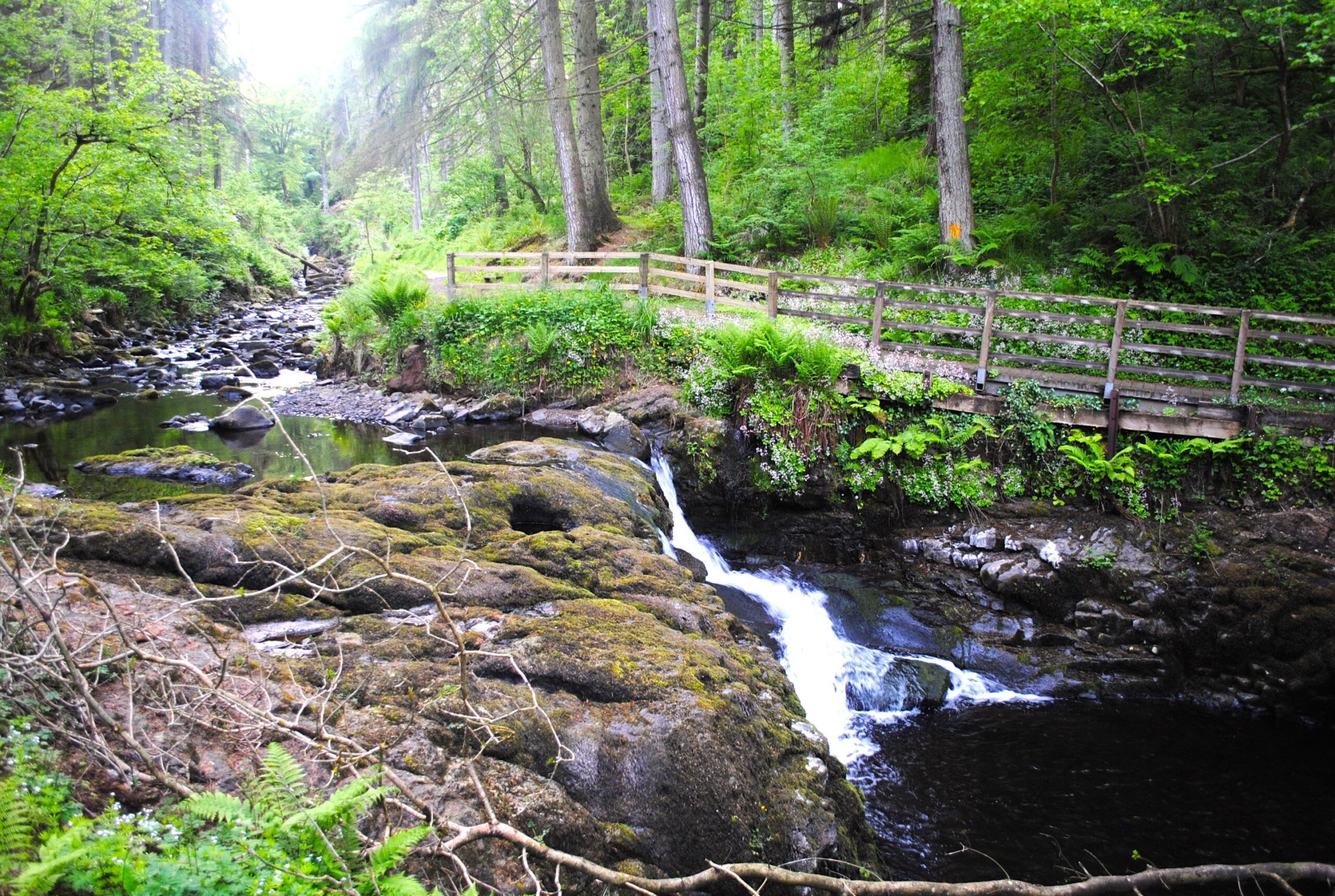 stream