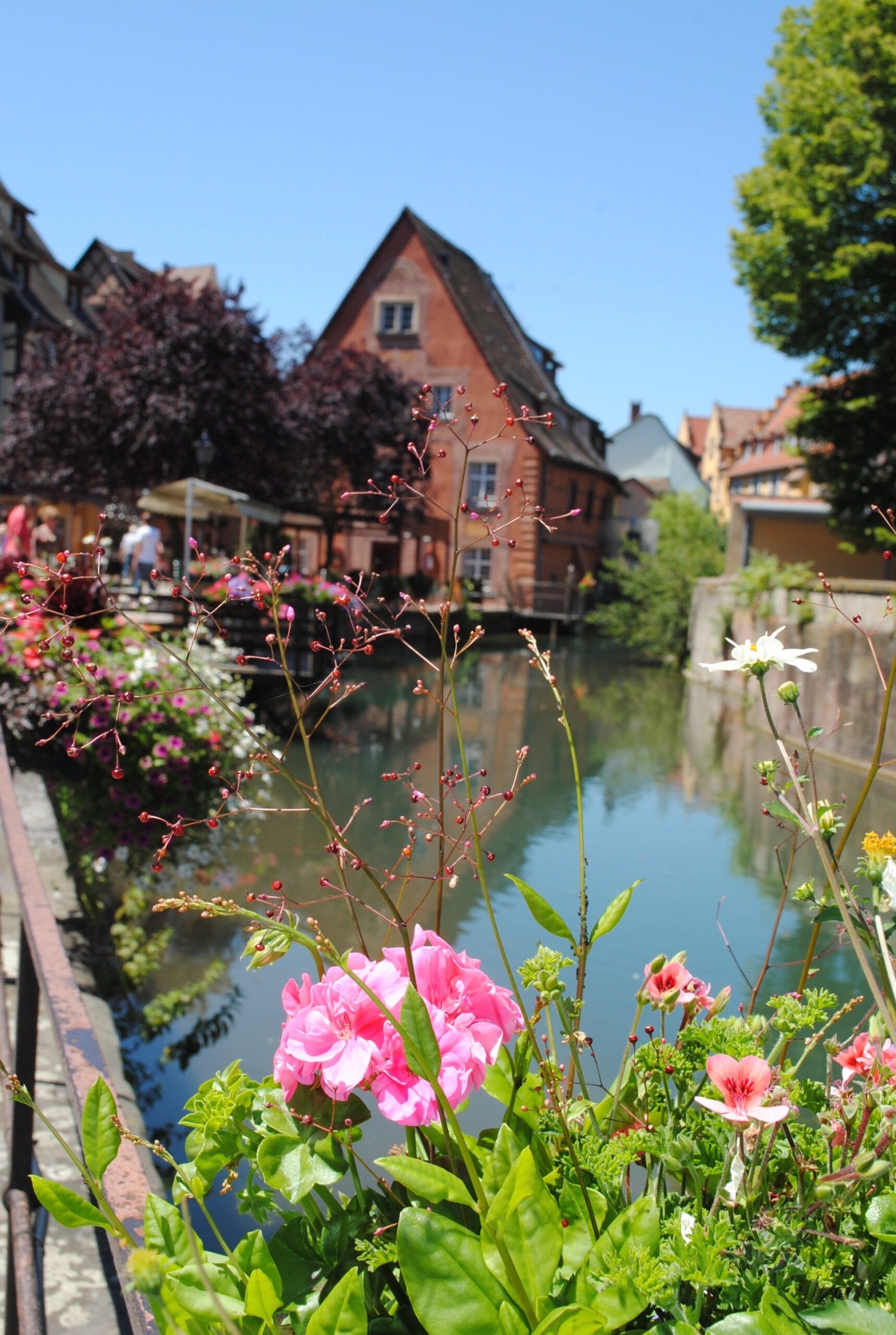 Colmar France 4 Fairytale Villages in Europe You Must Visit