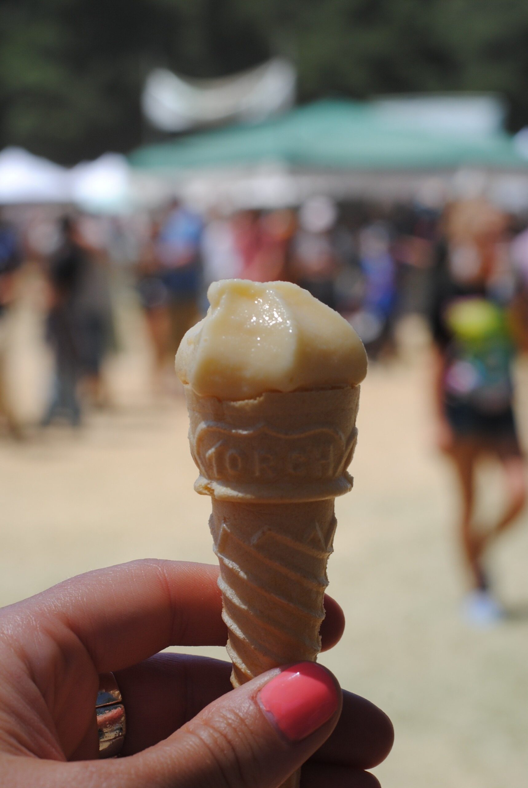 garlic ice cream review garlic ice cream review