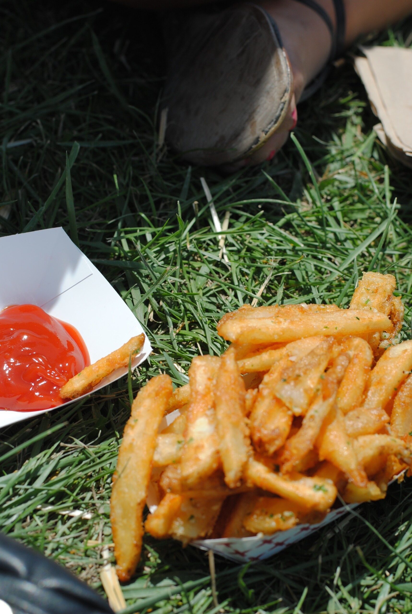 french fries french fries