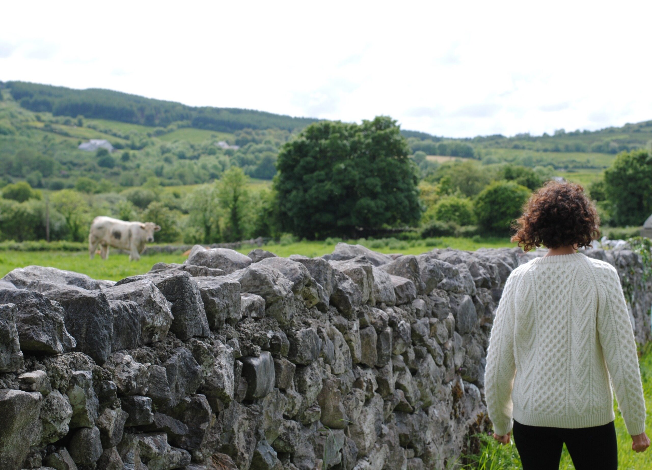 Reasons Why You MUST Roadtrip Through Ireland