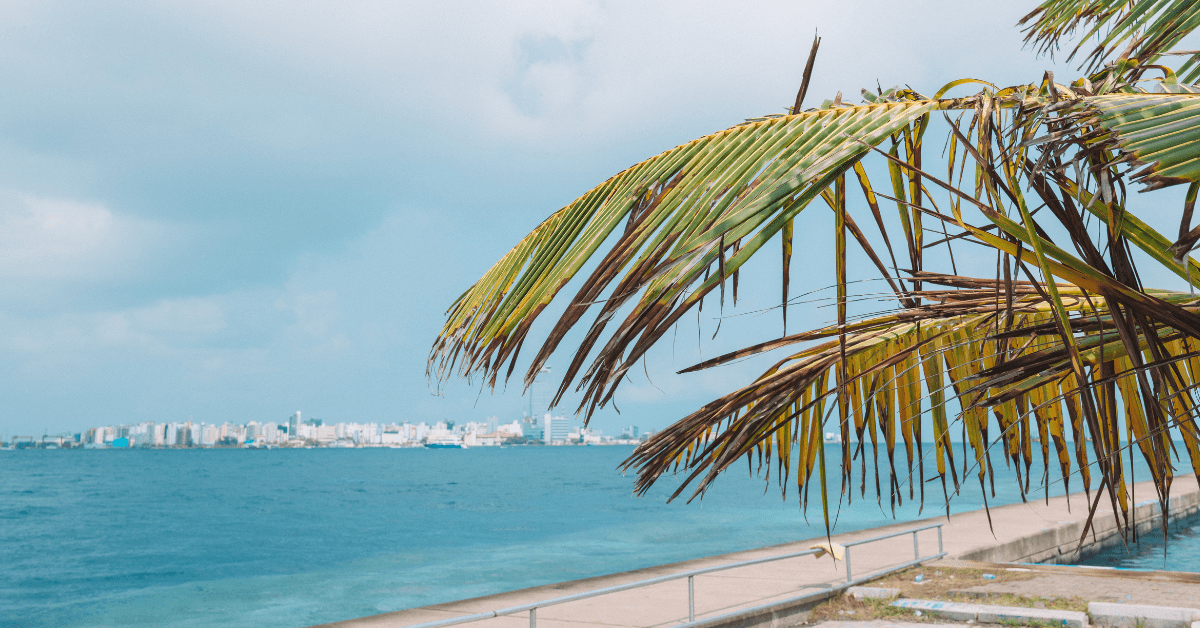 How To Spend One Day In Malé, Maldives