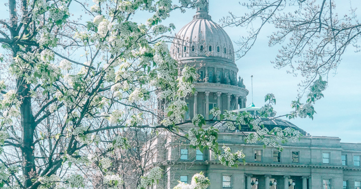 Best Things to Do in Boise in Spring (Local Guide)