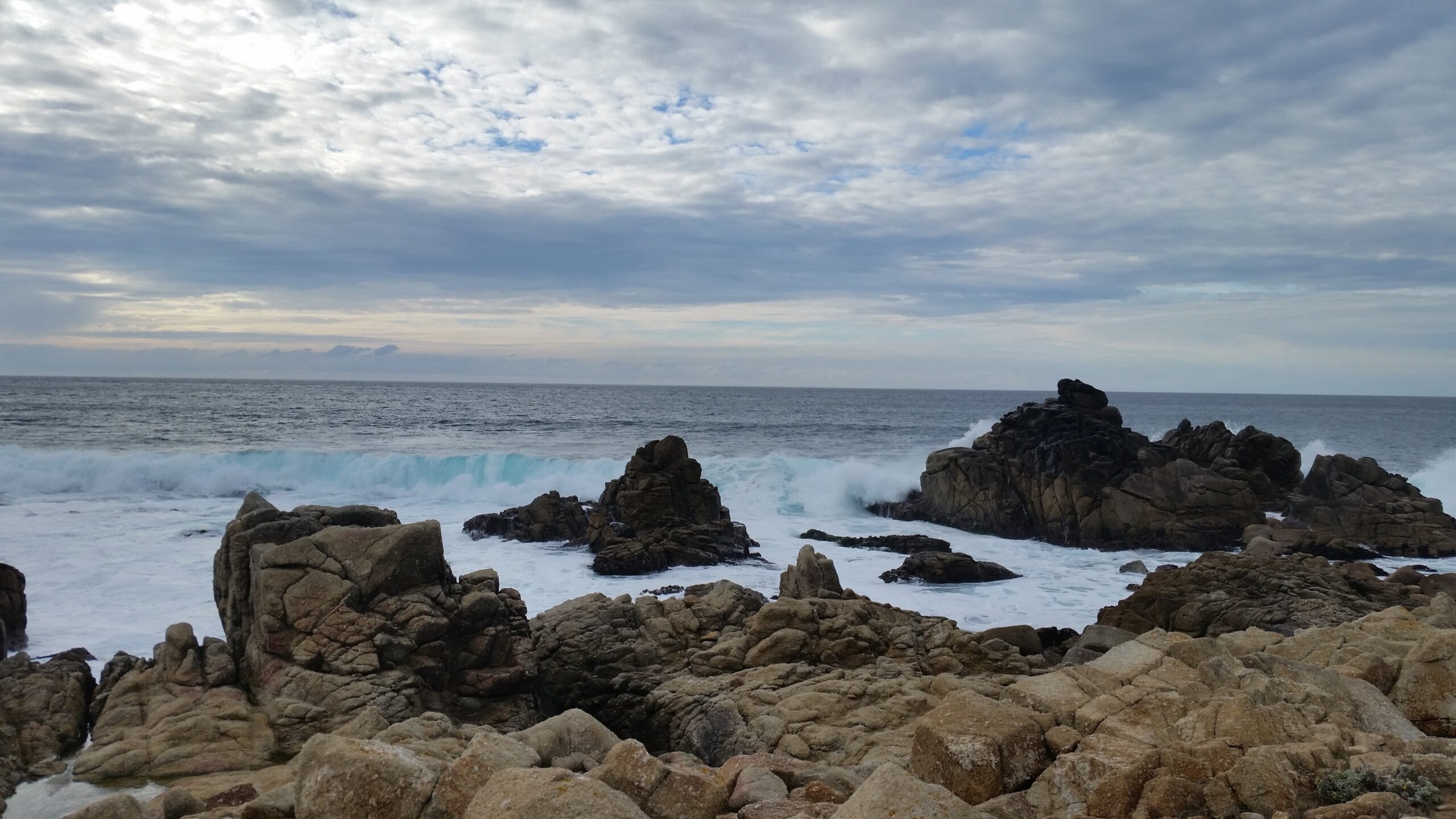17 Mile Drive in California 21 Stops to Make on the 17 Mile Drive in California | Traveling Spud