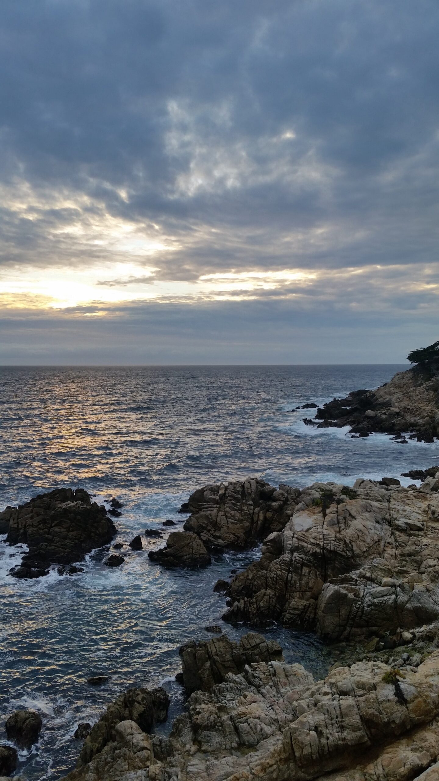 stops for 17 Mile Drive in California 21 Stops to Make on the 17 Mile Drive in California | Traveling Spud