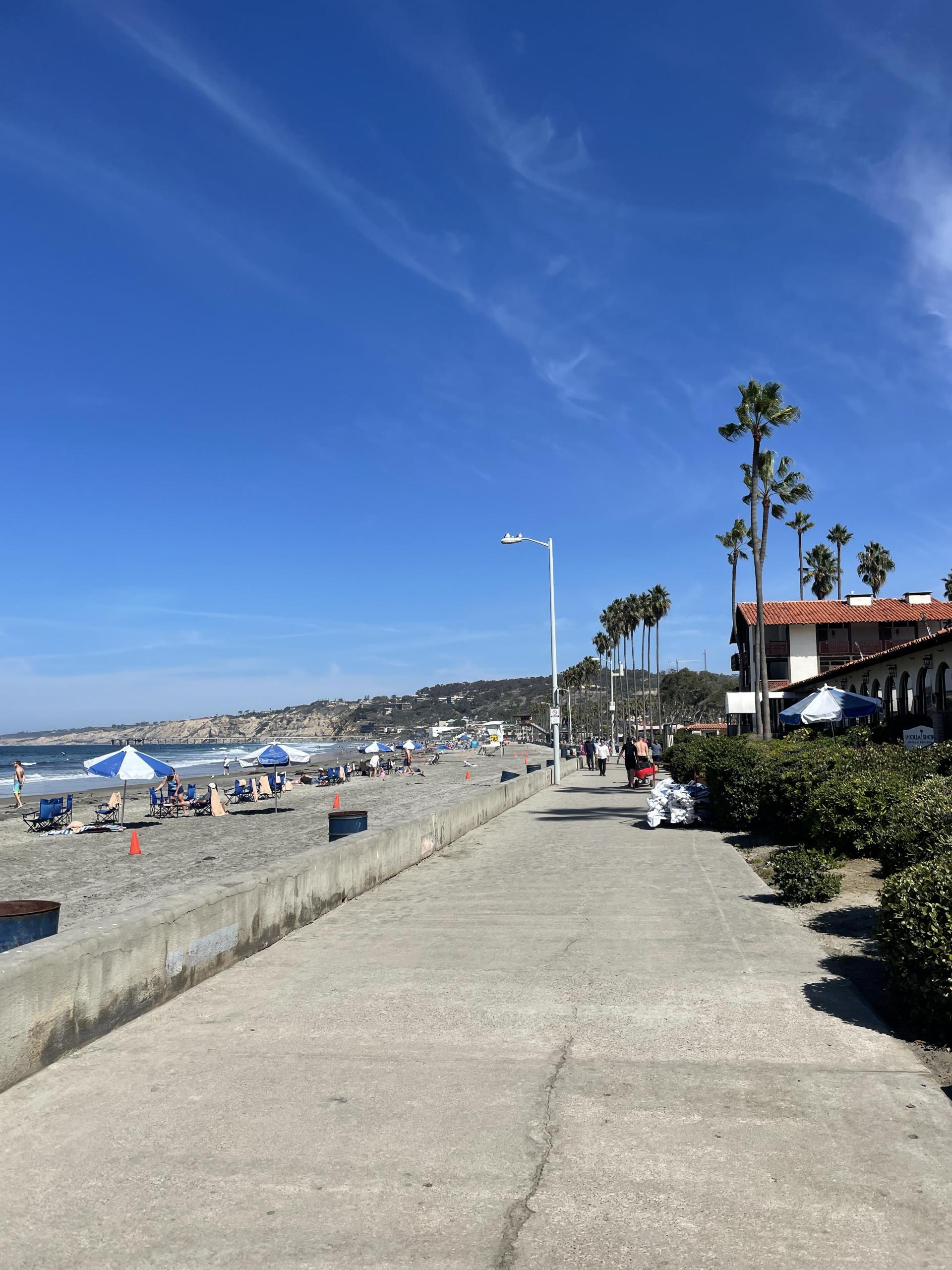 La Jolla beaches La Jolla Travel Guide: Where to Eat, Stay, and Play