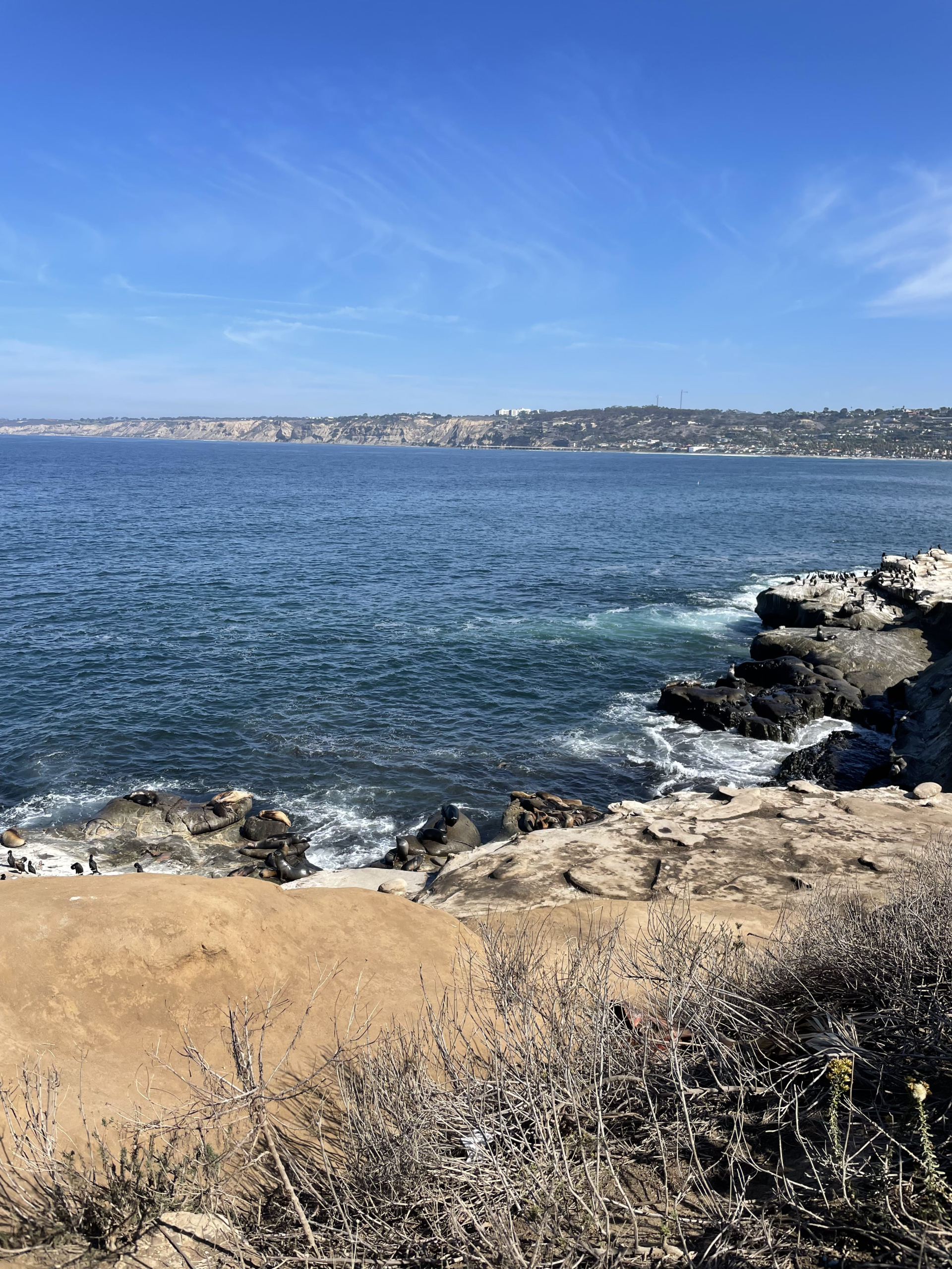 La Jolla Cove La Jolla Cove