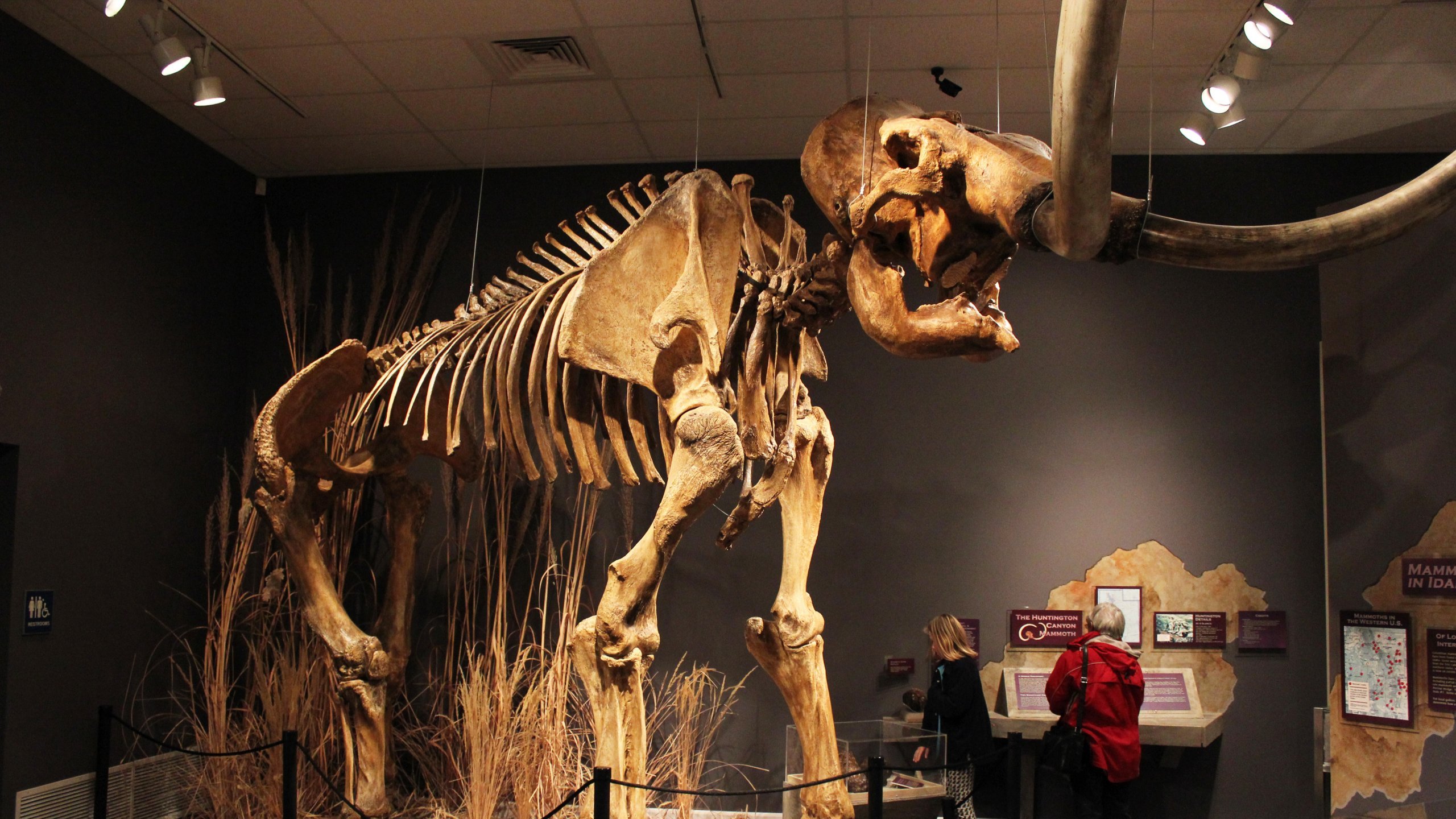 Herrett Center's museum
