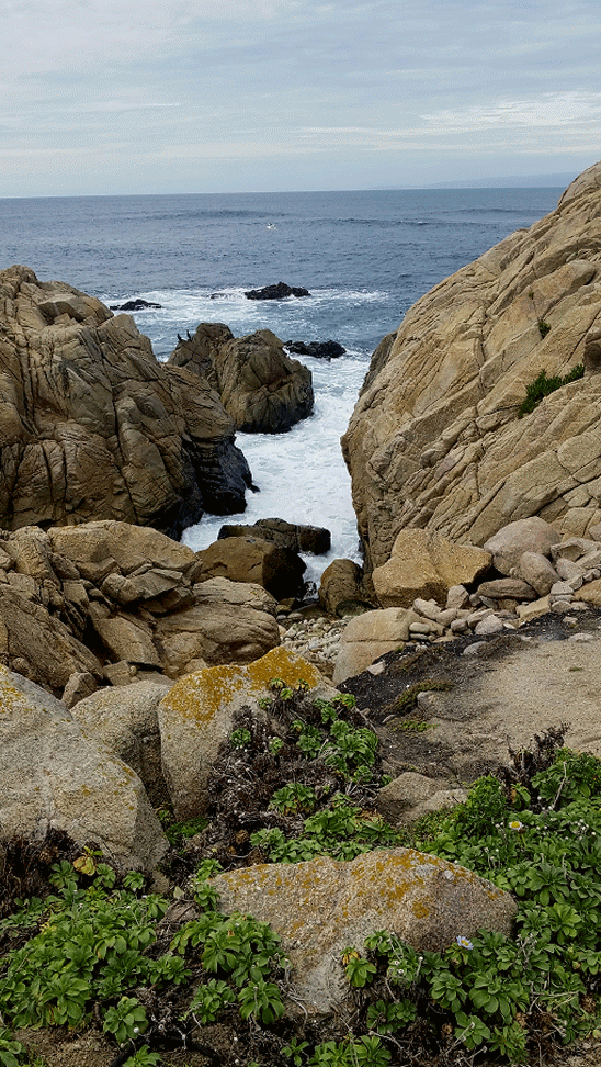 Pescadero Point Pescadero Point