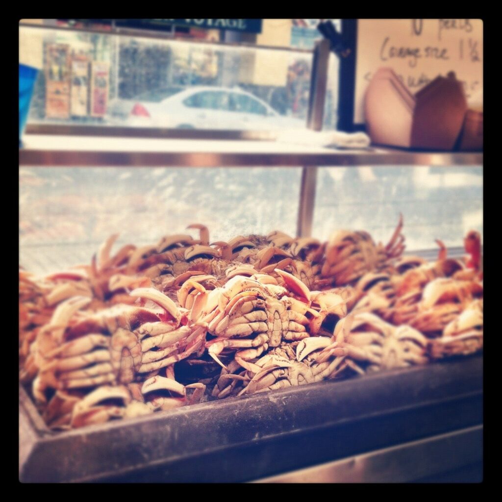 Fisherman's Wharf crab Fisherman's Wharf crab