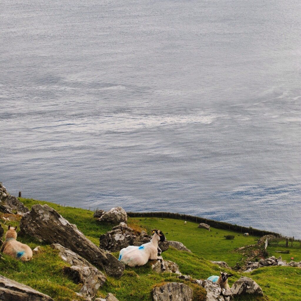 Cushendun and Torr Head