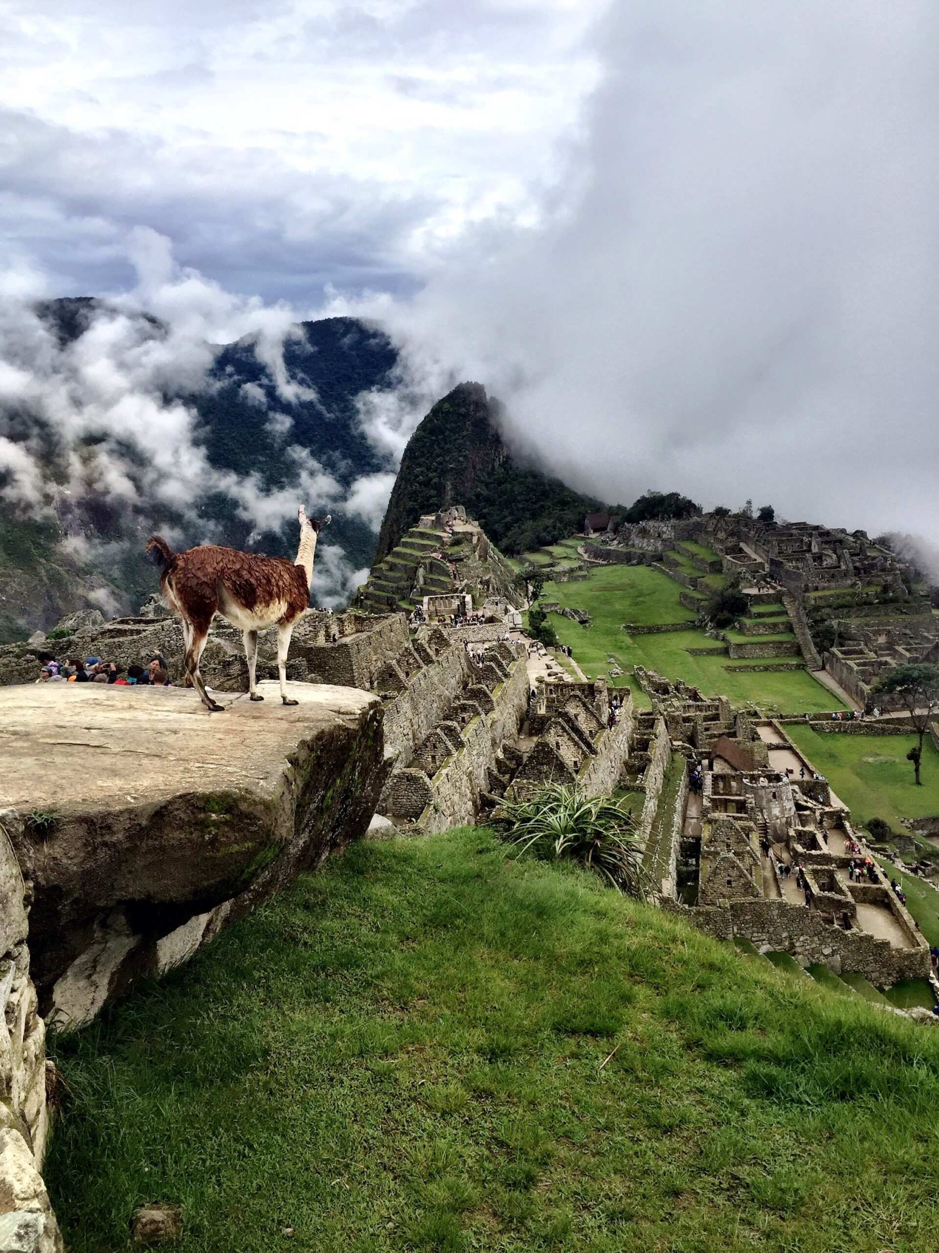 Sights to See When You Hike the Inca Trail