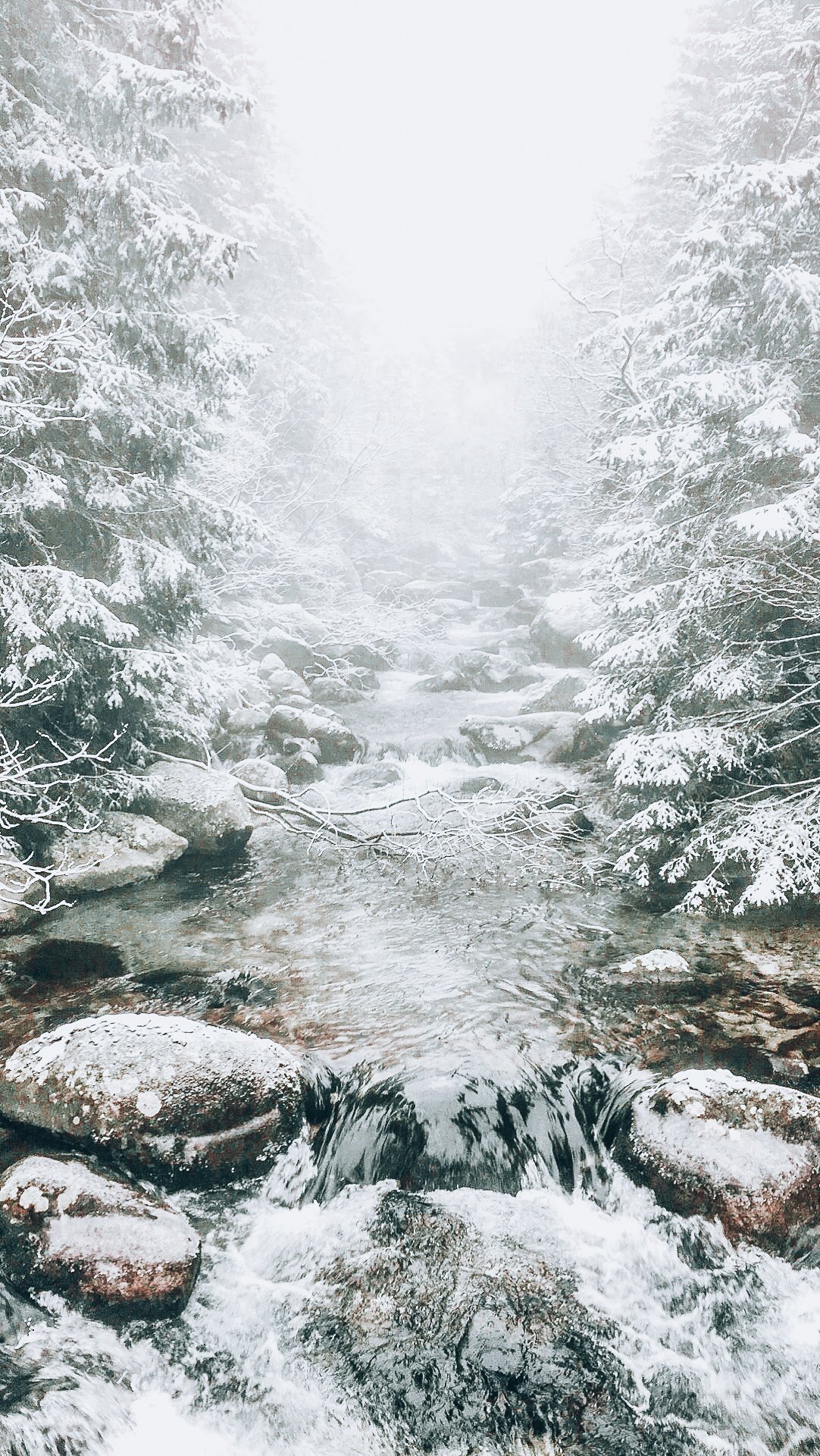 High Tatras winter season 10 Reasons To Visit the High Tatras in Slovakia During the Winter