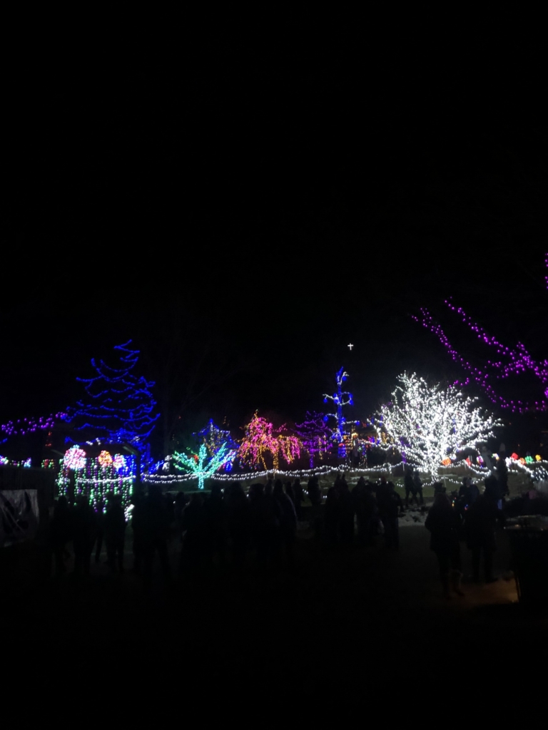 Winter Garden aGlow – Idaho Botanical Gardens Winter Garden aGlow - Idaho Botanical Gardens