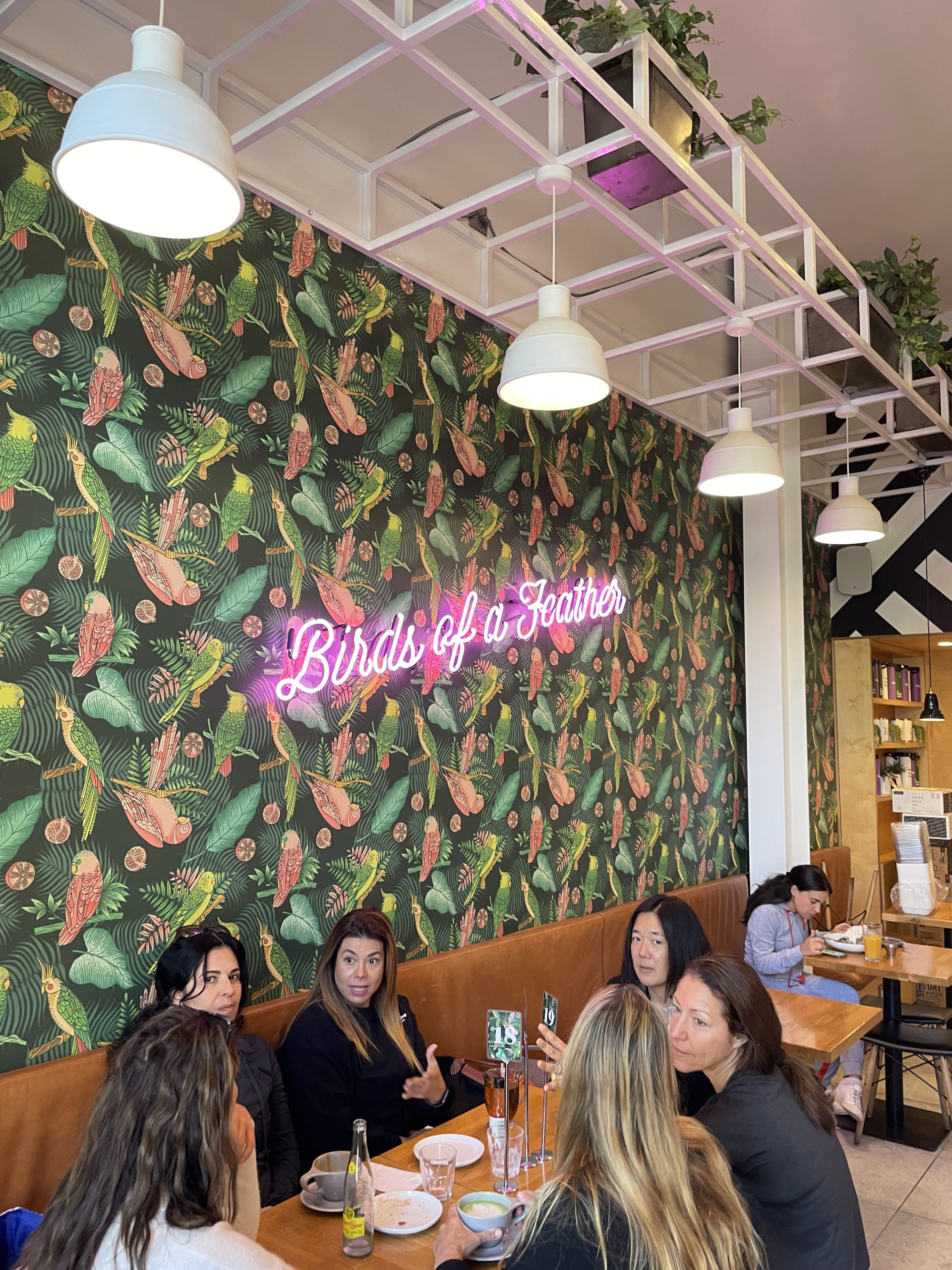 Best Restaurants in La Jolla Best Restaurants in La Jolla