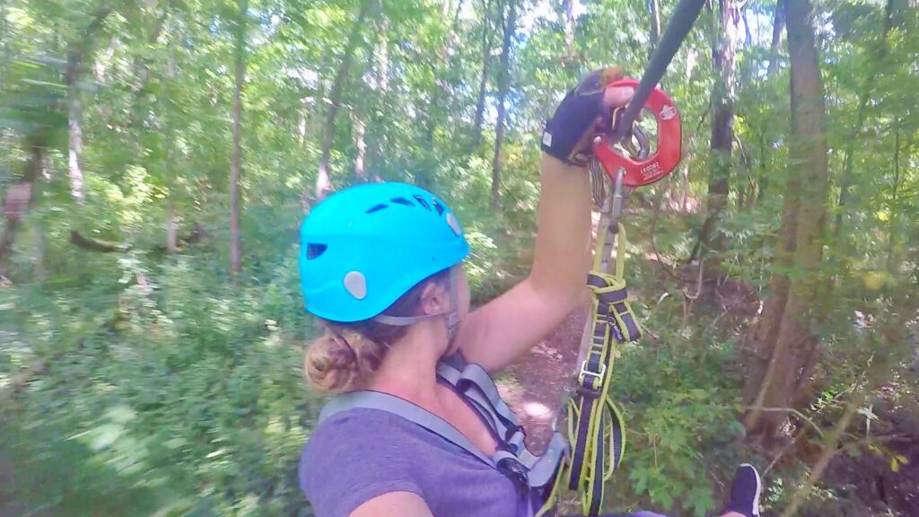 Ropes course at Koteewi Aerial Park