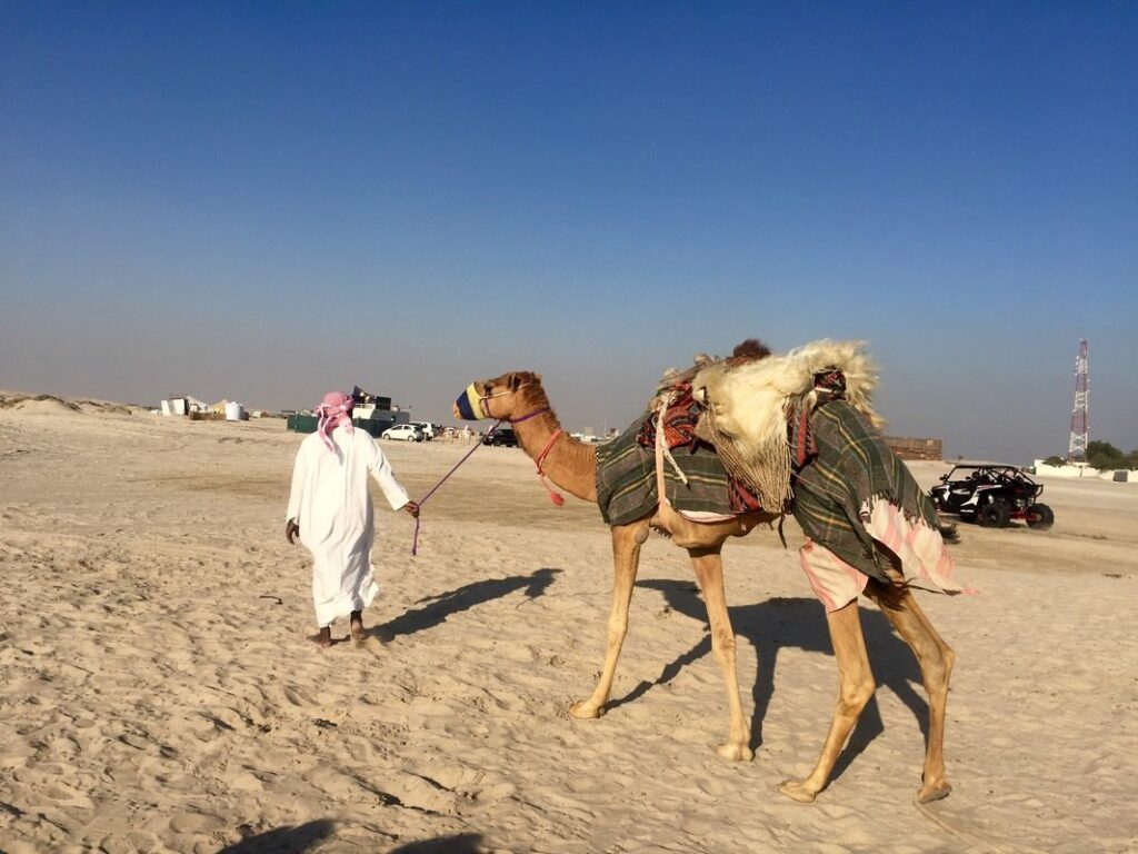 Desert Safari | What to Do in Doha Qatar in 48 Hours