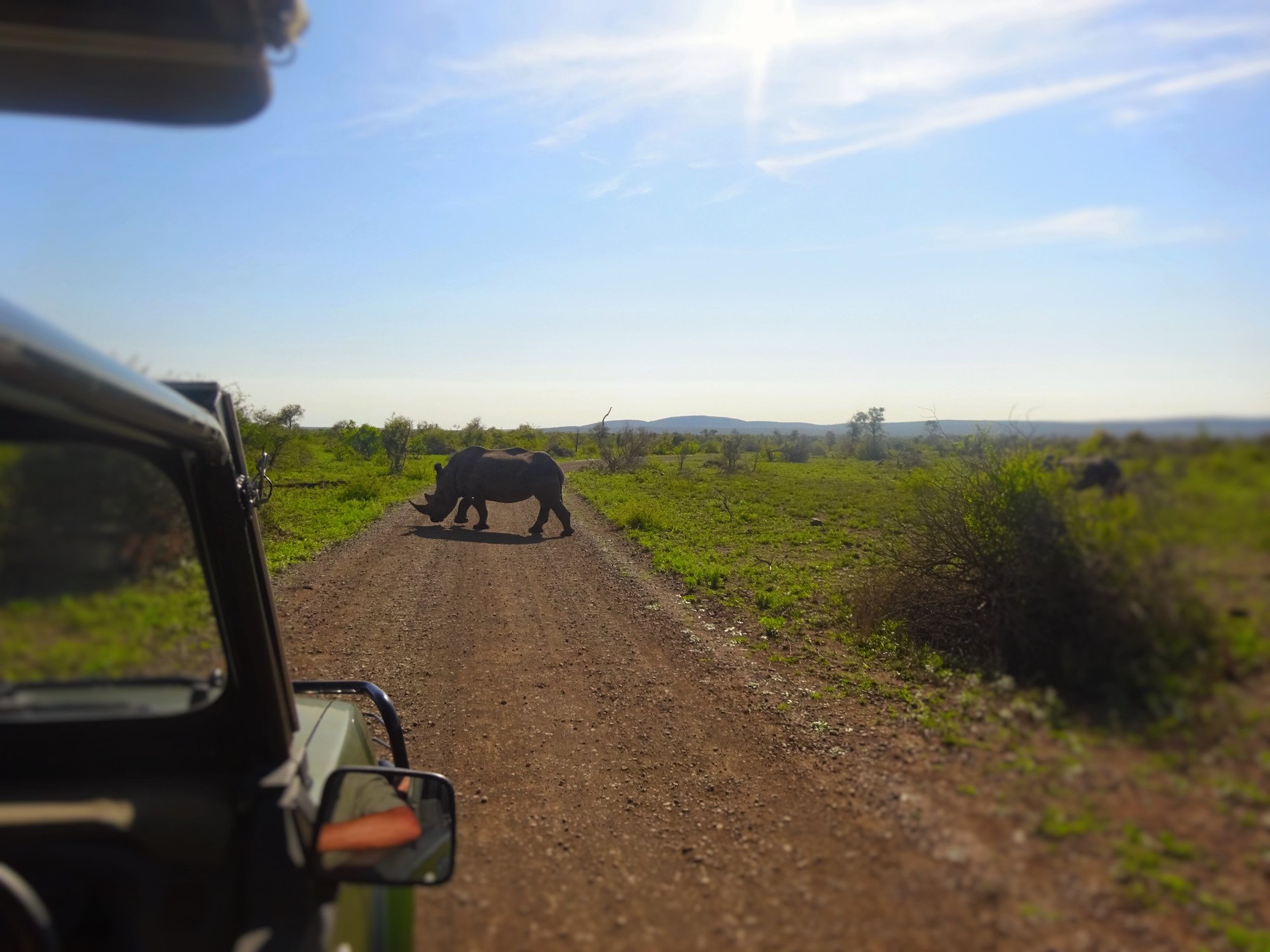 two week itinerary for south africa