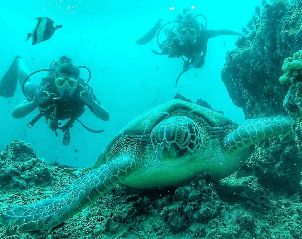 Gili Air diving Diaries Around the World: 6.5 Months