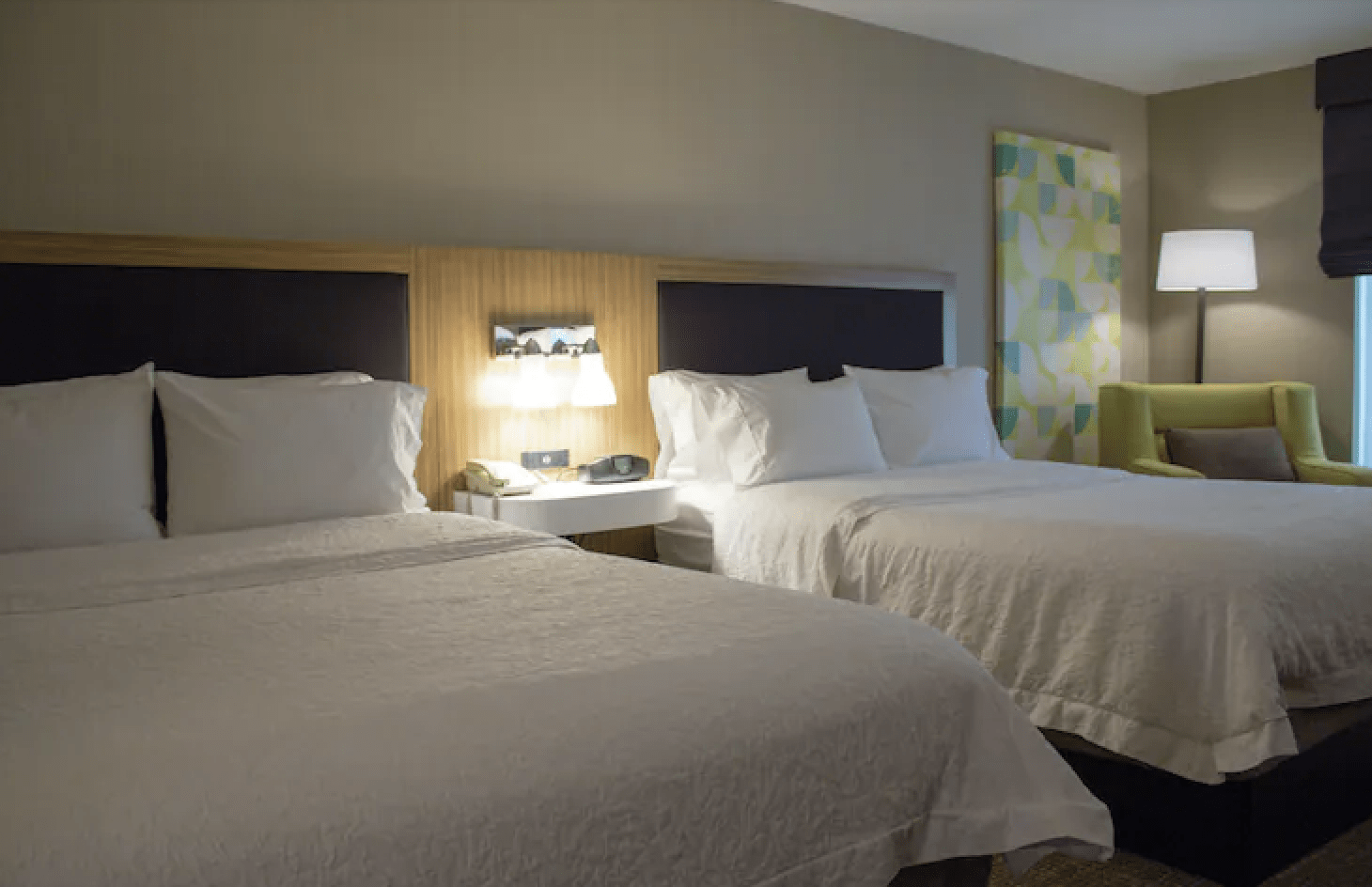 hampton inn dog friendly