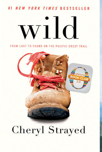 Wild by Cheryl Strayed Wild by Cheryl Strayed | Best Travel Books