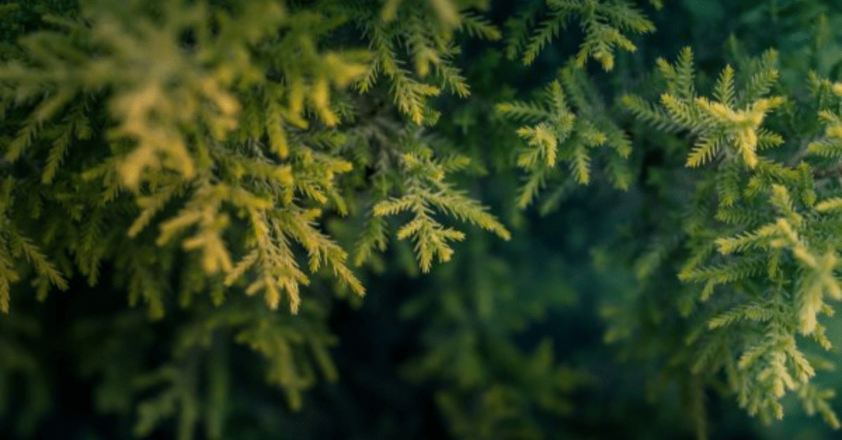 Winter in Boise: 22 Things To Keep You Busy All Season