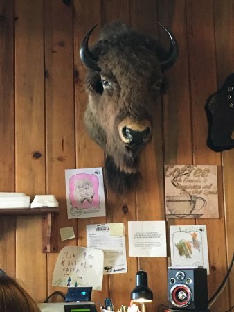 9 Things to Do in Twin Falls Idaho