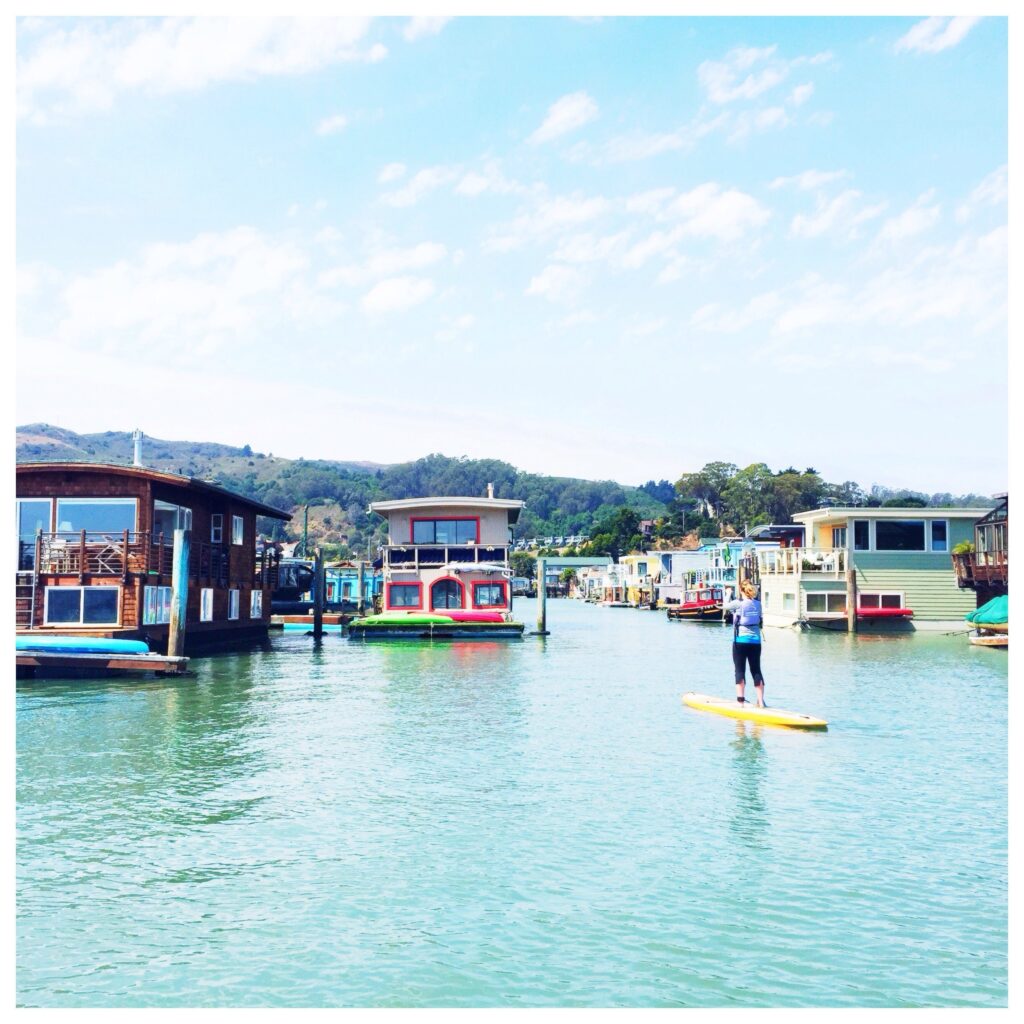 Stand Up Paddle Boarding with Sea Treks Stand Up Paddle Boarding with Sea Treks