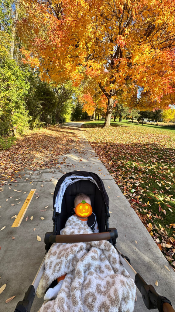 ann morrison park greenbelt