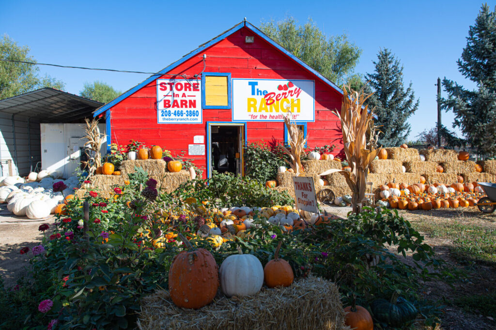 Berry Ranch fall 