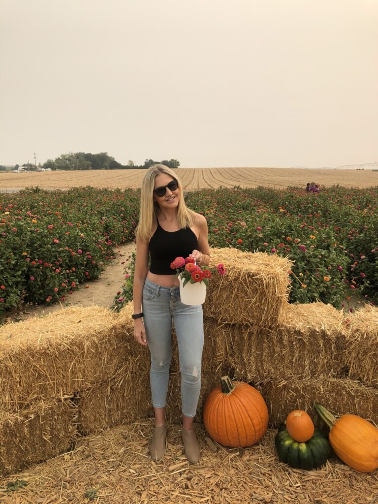 lovely hollow farms - fall