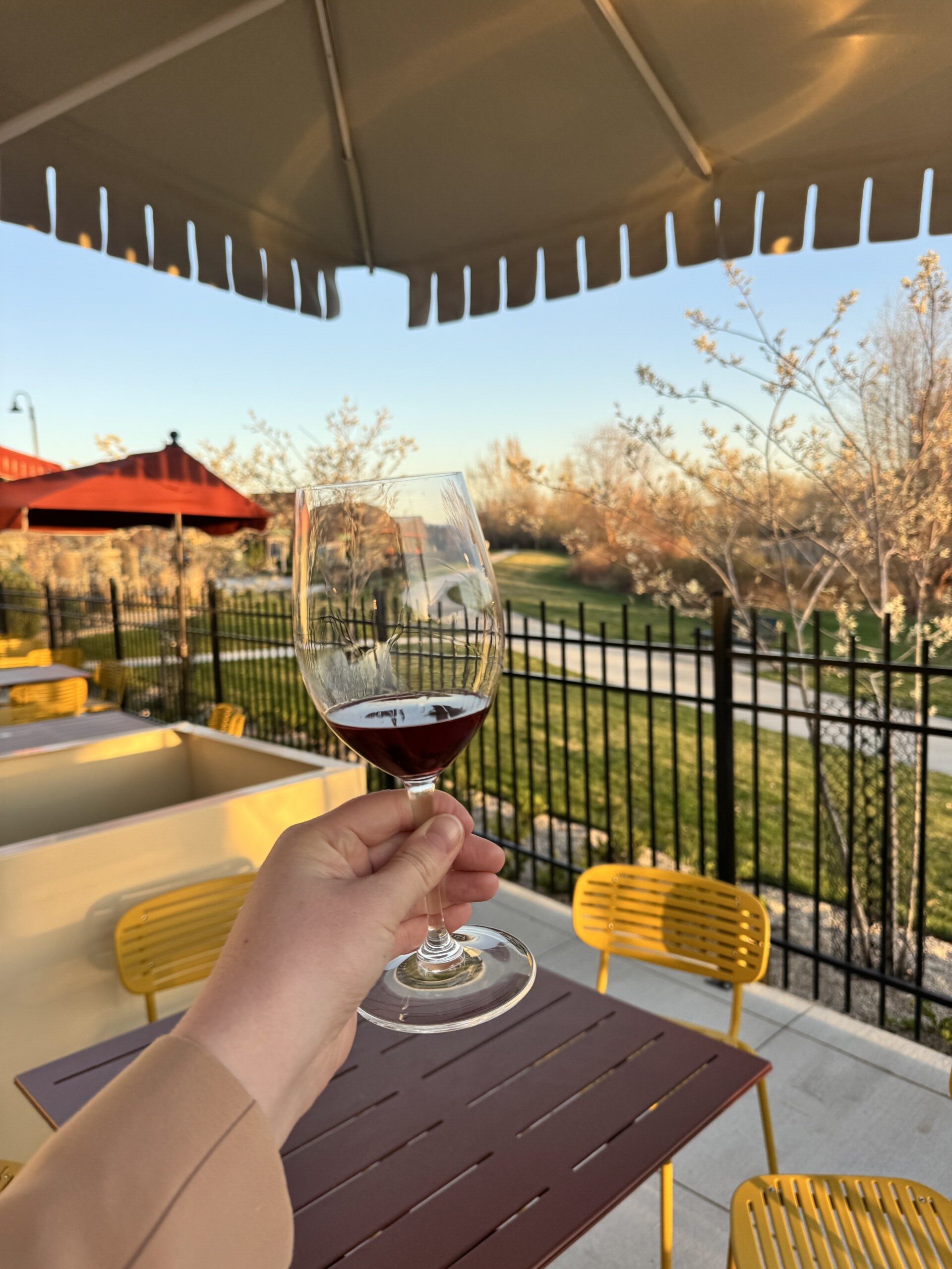 20+ Best Patios & Rooftop Bars in Boise, Idaho (Local Guide)