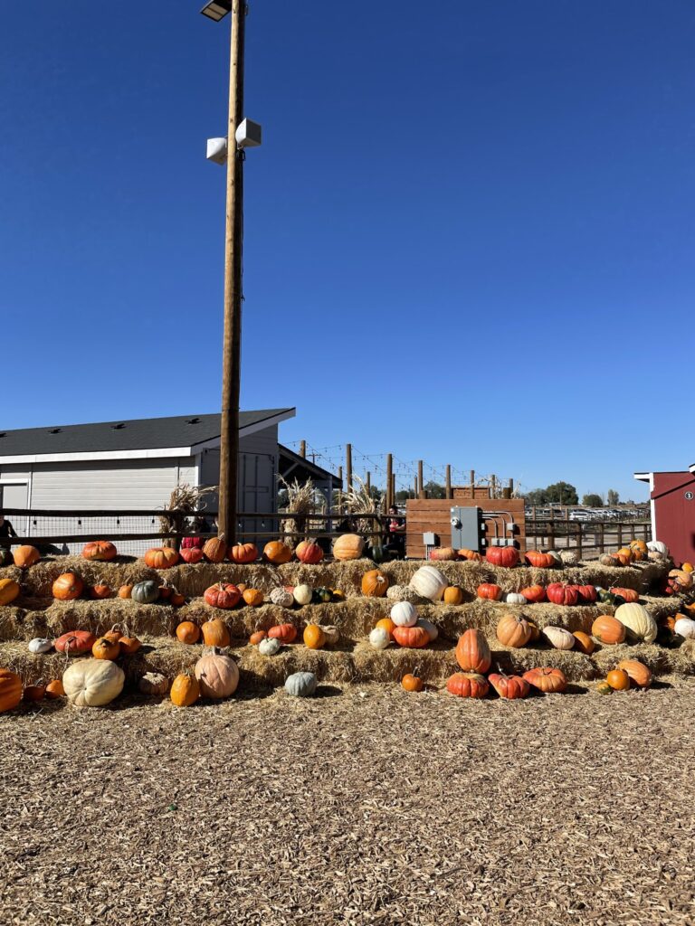 fall farm - lowe farmstead