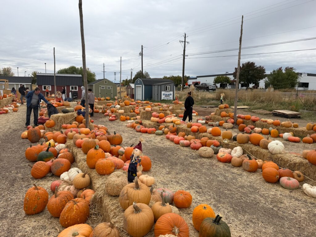 Jordans pumpkin patch boise idaho