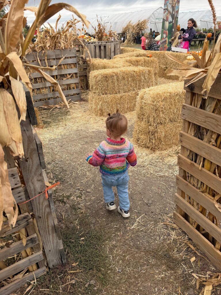 Jordans Pumpkin Patch boise idaho